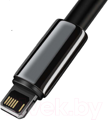 Кабель Baseus Tungsten Gold USB To Lightning / CALWJ-A01 (2м, черный)