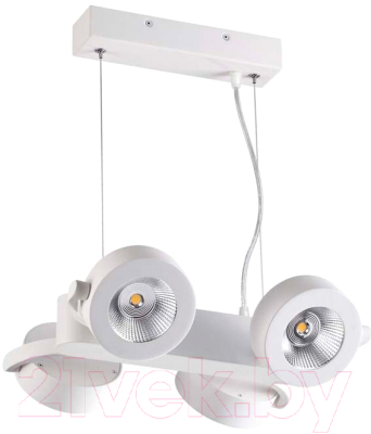 

Спот Odeon Light, Pumavi 3493/40L