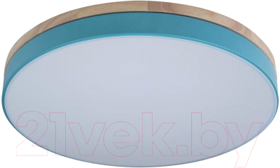 Потолочный светильник Loftit Axel 10001/36 Blue