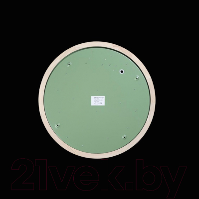 Потолочный светильник Loftit Axel 10001/36 Green