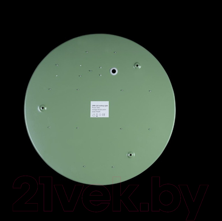 Потолочный светильник Loftit Axel 10002/24 (зеленый) — фото 2