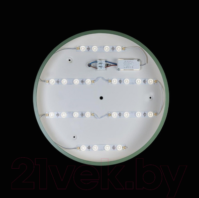 Потолочный светильник Loftit Axel 10002/24 (зеленый)