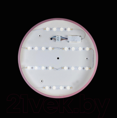 Потолочный светильник Loftit Axel 10002/24 Pink