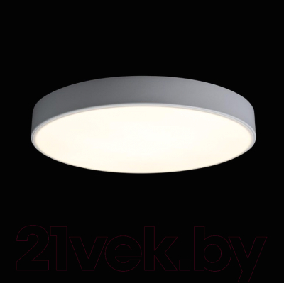 Потолочный светильник Loftit Axel 10002/24 (белый)
