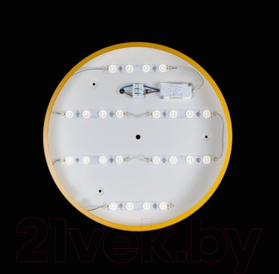 Потолочный светильник Loftit Axel 10002/24 Yellow
