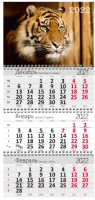 Календарь настенный No Brand Квартальный на 2022 год. Тигр