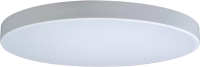 Потолочный светильник Loftit Axel 10002/48 White - 