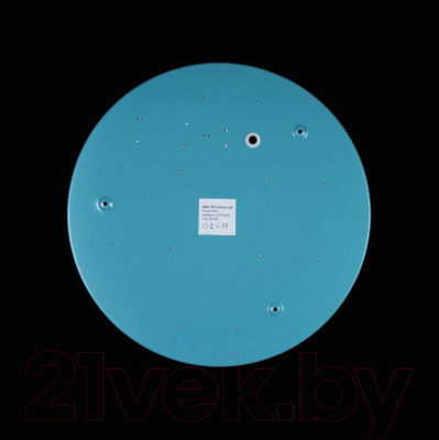 Потолочный светильник Loftit Axel 10003/24 (голубой)