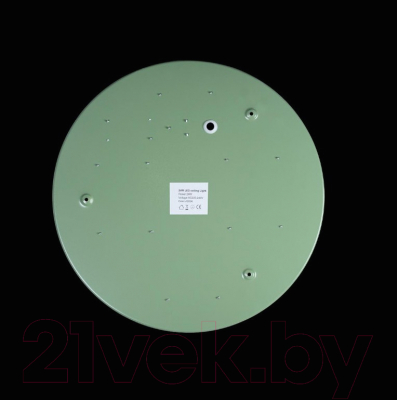 Потолочный светильник Loftit Axel 10003/24 (зеленый)
