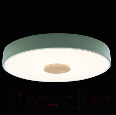 Потолочный светильник Loftit Axel 10003/24 (зеленый)