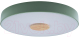 Потолочный светильник Loftit Axel 10003/24 (зеленый) - 