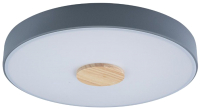 Потолочный светильник Loftit Axel 10003/24 (серый) - 