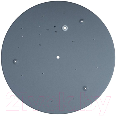 Потолочный светильник Loftit Axel 10003/24 (серый)