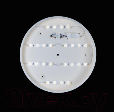 Потолочный светильник Loftit Axel 10003/24 (белый)