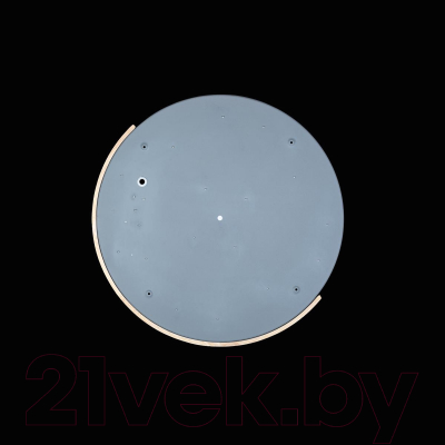 Потолочный светильник Loftit Axel 10004/36 Grey