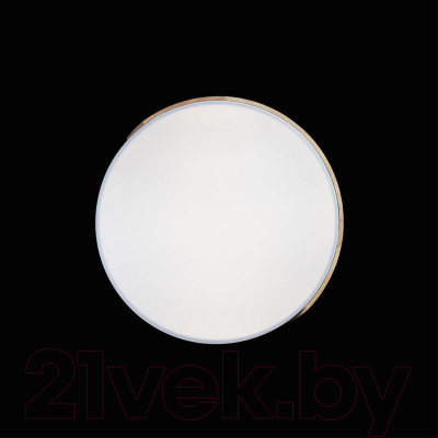 Потолочный светильник Loftit Axel 10004/36 (белый)
