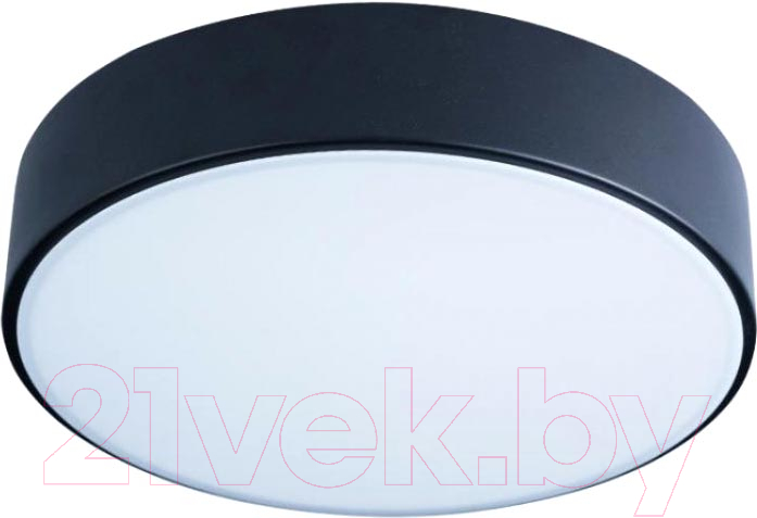 Потолочный светильник Loftit Axel 10002/12 Black — фото 1