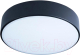 Потолочный светильник Loftit Axel 10002/12 Black - 