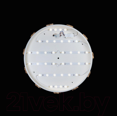Потолочный светильник Loftit Axel 10006/36 (белый)