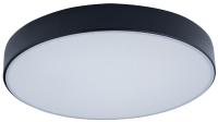 Потолочный светильник Loftit Axel 10002/24 (черный) - 