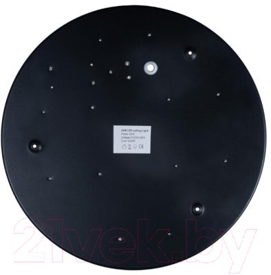 Потолочный светильник Loftit Axel 10002/24 (черный)