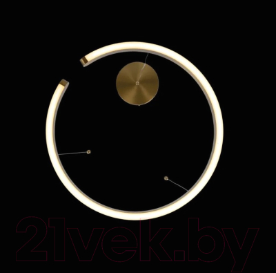 Изображение товара Потолочный светильник Loftit Ring 10013L