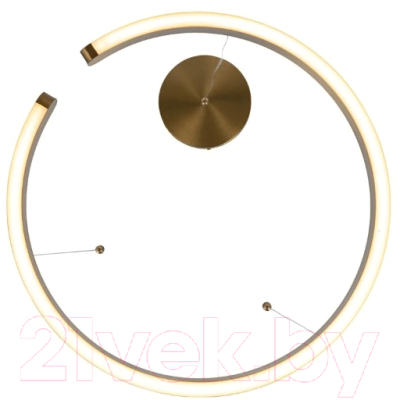 Изображение товара Потолочный светильник Loftit Ring 10013L