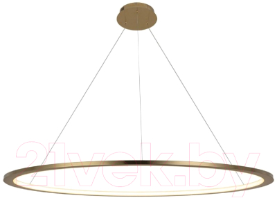 Потолочный светильник Loftit Ring 10014XXL