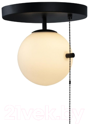 Изображение товара Потолочный светильник Loftit Signal 10029C Black