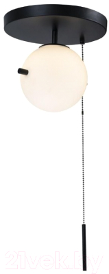 Изображение товара Потолочный светильник Loftit Signal 10029C Black