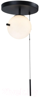 Изображение товара Потолочный светильник Loftit Signal 10029C Black