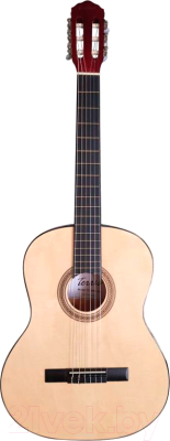 Акустическая гитара Terris TC-395A NA