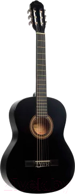 Акустическая гитара Terris TC-395A BK