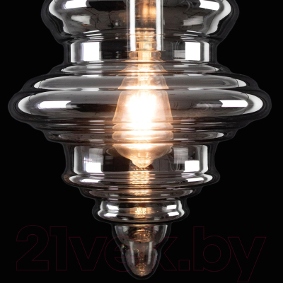 Потолочный светильник Loftit 2075-A