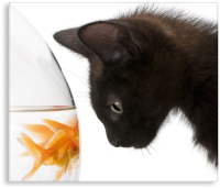 

Картина Citydecor, 2.22