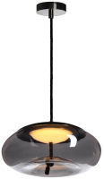 Потолочный светильник Loftit 8134-D - 