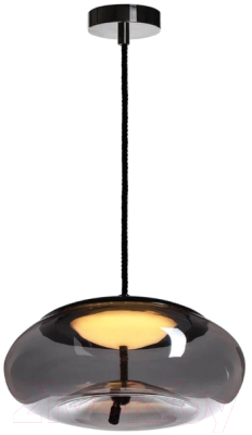 Потолочный светильник Loftit 8134-D