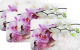 Набор сервировочных салфеток Grace Орхидея 25х41 - 