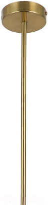 Потолочный светильник FAVOURITE Opalus 2909-1P