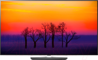 Телевизор LG OLED55B8SLB