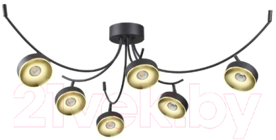 

Люстра Odeon Light, Fineca 3812/42CL