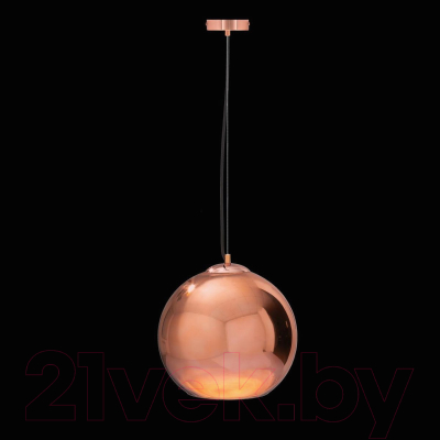 Потолочный светильник Loftit Copper Shade LOFT2023-C