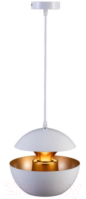 Потолочный светильник Loftit LOFT2213-A