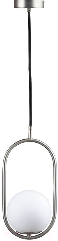 Потолочный светильник Loftit LOFT2595-B