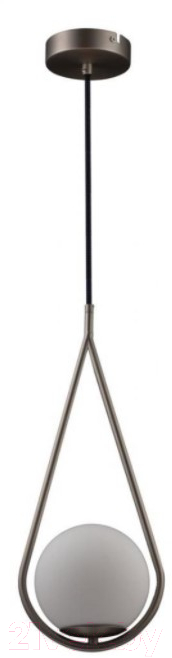 Потолочный светильник Loftit LOFT2599-B