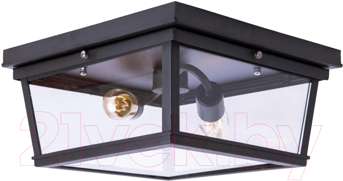 Потолочный светильник Loftit LOFT3110-2C