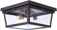 Потолочный светильник Loftit LOFT3110-2C - 