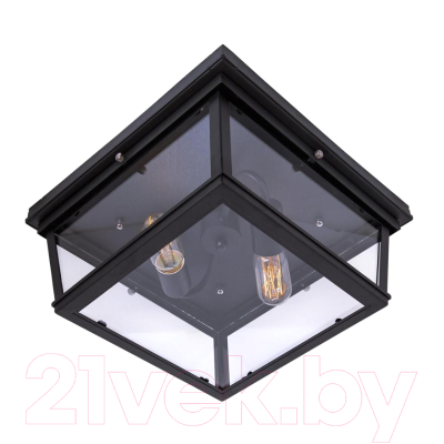 Потолочный светильник Loftit LOFT3110-2C