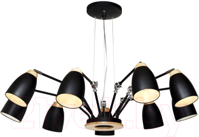 

Люстра Loftit, LOFT4402/9BL