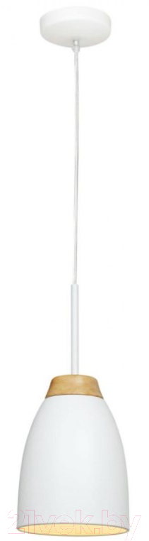 Потолочный светильник Loftit LOFT4402A-WH